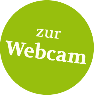 zur Webcam