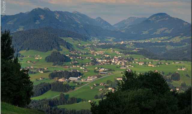 Blick in den Vorderwald